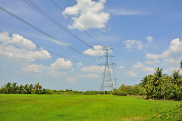  High voltage pole with natural landscape.