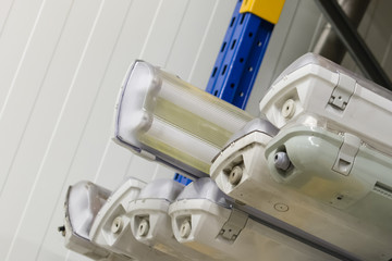 Fluorescent bodies used in the rack.