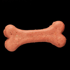Dog biscuit on black background