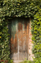 Romantic old wooden garden gate outdoor, surrounded with plants