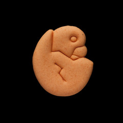 Dog biscuit on black background