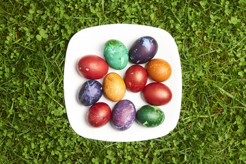 Natural Easter Eggs dyed in various colours on white plate in green grass - Eastern European Traditional style