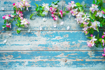 Spring blooming branches on blue wooden background.