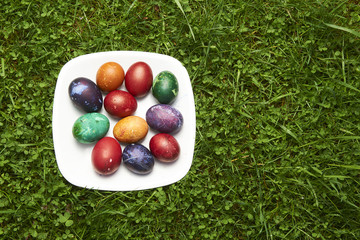 Natural Easter Eggs dyed in various colours on white plate in green grass - Eastern European Traditional style