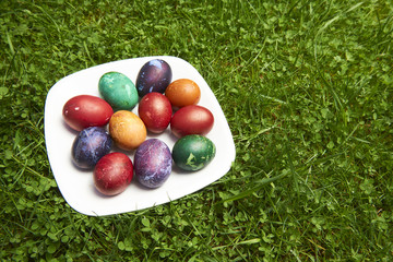 Natural Easter Eggs dyed in various colours on white plate in green grass - Eastern European Traditional style