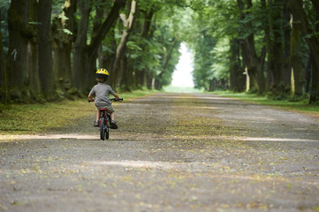 Child boy on a bicycle in the forest in summer. Boy cycling outdoors in safety helmet.