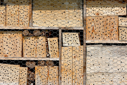 Insektenhotel mit Schutzgitter
