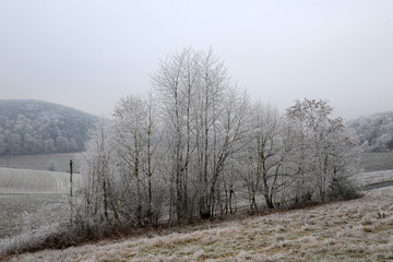 Raureif