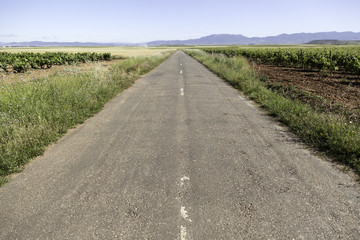 Road in countryside