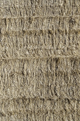 Pile of straw in barn