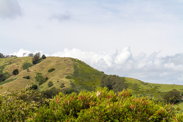 Marin Headlands