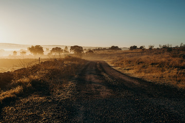 Fototapeta na wymiar Dirt track in crossing a beautiful sunrise landscape.