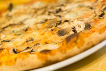 Fresh baked italian pizza with fungi and Gorgonzola cheese