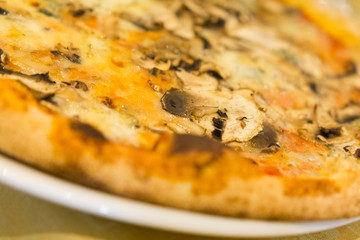 Fresh baked italian pizza with fungi and Gorgonzola cheese