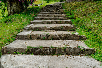 Concrete stair in the park