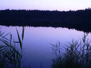  Lake and forest in the evening