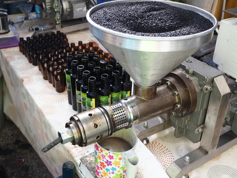 Disgusting oil