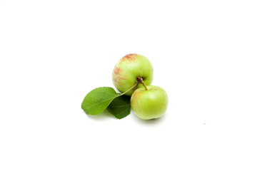 Apples on white background
