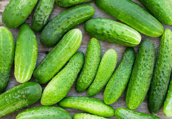 Ripe cucumbers