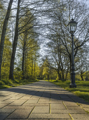Park in Neuenburg