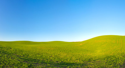 Fototapeta na wymiar Green grass hills meadows landscape with bright blue sky on a bright sunny day. Outdoor nature background.