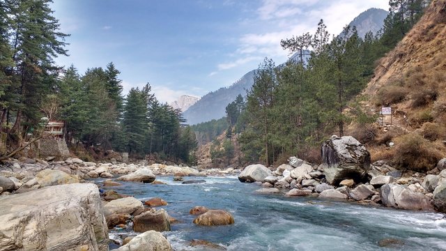 A river running through a lush green forest photo – Free India Image on  Unsplash