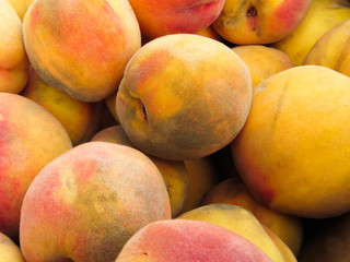 Peaches with ash from the Carlton Complex fire in Washington State