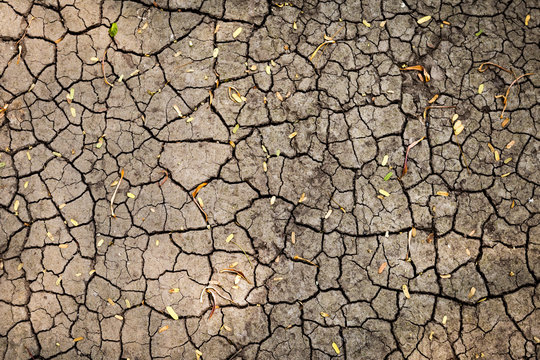 Natural crack texture background, dry soil crack texture, outdoor day light