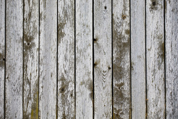 Obraz premium old wooden planks