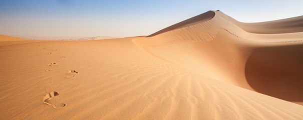Patterns an dunes of Empty quarter - arabian desert - obrazy, fototapety, plakaty