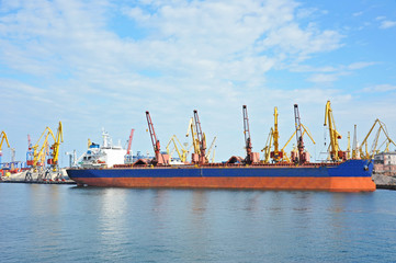 Naklejka premium Bulk cargo ship under port crane