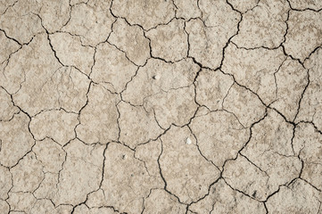 Texture of scorching sand
