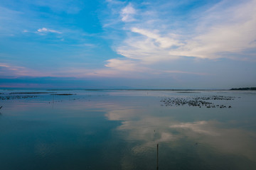 Fototapeta na wymiar sunset sea view oyster farm