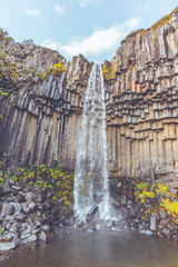 Fototapeta na wymiar Svartifoss Waterfall in Iceland
