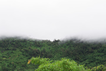 Fog covered mountain in thailand