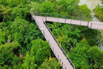 long wood bridge in the green forest park and the canal near the big city