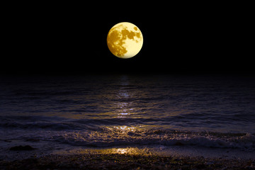 Landscape moon over horizon on sea and moonlight.  Panorama with the luna of night. Grand mystical...