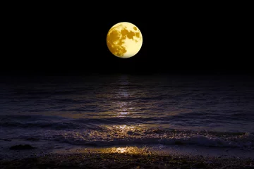 Poster Meer / Ozean Landschaftsmond über Horizont auf Meer und Mondschein. Panorama mit dem Mond der Nacht. Grand mystisch fantastische Aussicht.