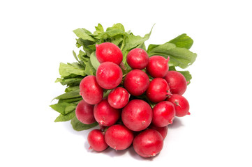 Small garden radish isolated on white background cutout