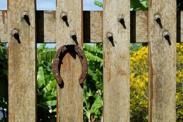 Shoehorse on a wooden door 