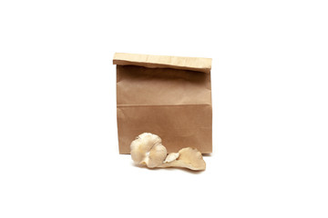 Oyster mushrooms on white background
