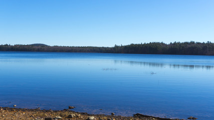 Lake with trees in background