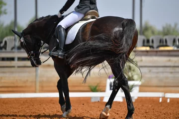 Fotobehang Dressage rider on a bay horse © PROMA