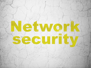 Privacy concept: Network Security on wall background