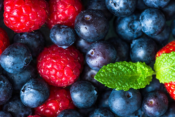 Variety of Fresh Berries such as Blueberries, Raspberries and Strawberries