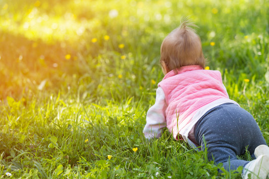 One Year Old Baby Crawling In The Grass Facing Away From The Camera