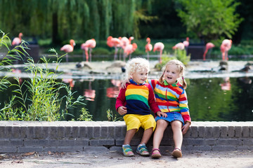 Children watching animals at the zoo