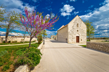 Naklejka premium Town of Nin old stone street springtime view