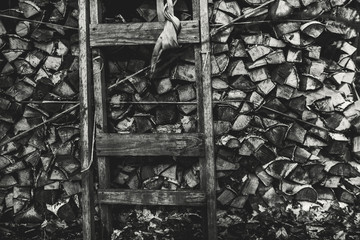 Fototapeta premium Black and white shooting of firewood stock with old wooden ladder near them, woods storage with shabby timbered stepladder on dark moody winter or springtime day with dry oak leaves on the ground