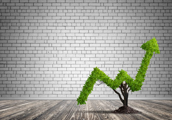 Right investment for getting income